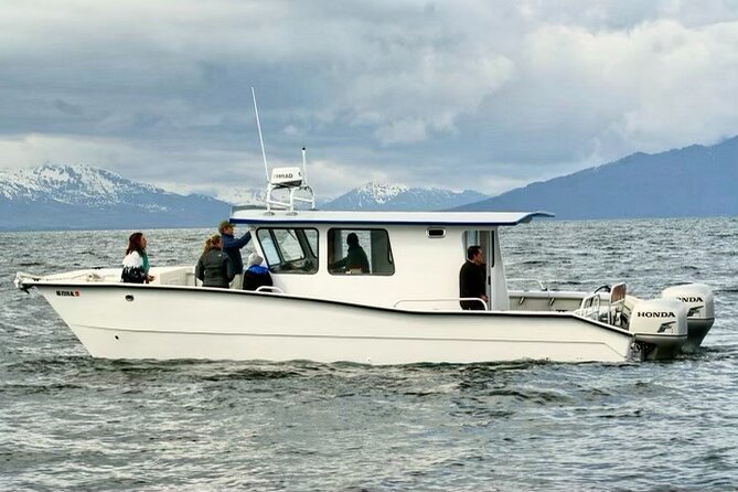 Icy Strait Whale & Wildlife Endeavor - Wildlife Sightings and Encounters