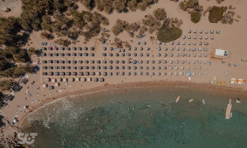 Ierapetra-Makrigialos: Vai Palm Beach, Moni Toplou & Sitia - What to Expect from the Tour