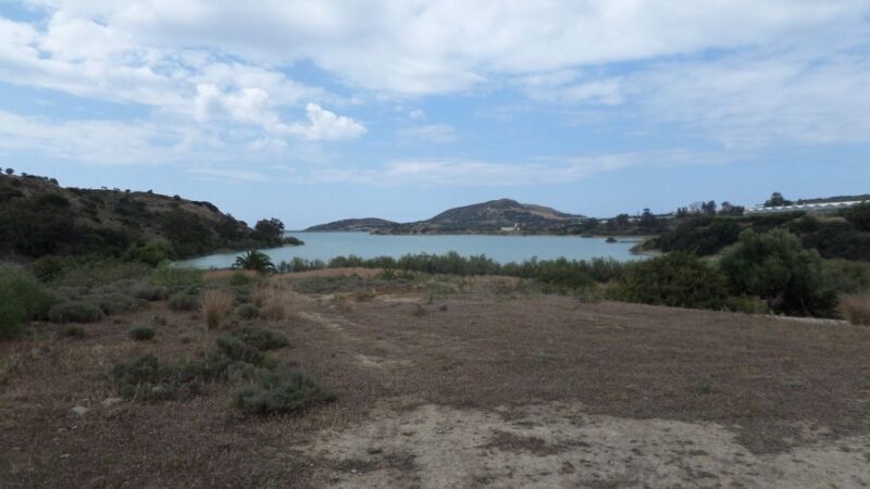 Ierapetra: Quad ATV 4x4 Exceptional Day in South Crete 2025 - Who Will Love This Experience?