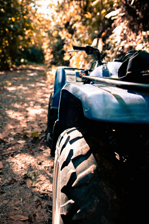 Ifrane: Middle Atlas Mountains Quad Bike Tour - Quad Bike Adventure
