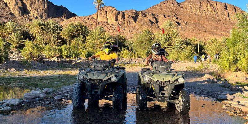 Ifrane: Middle Atlas Mountains Quad Bike Tour - Customer Feedback