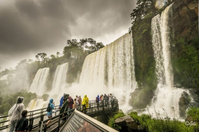 Iguazu Falls: Argentine Side Tour From Puerto Iguazu - What to Bring Along