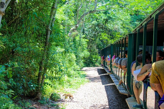 Iguazu Falls: Argentinian Side With Rainforest Ecological Train - Confirmation and Participation Details
