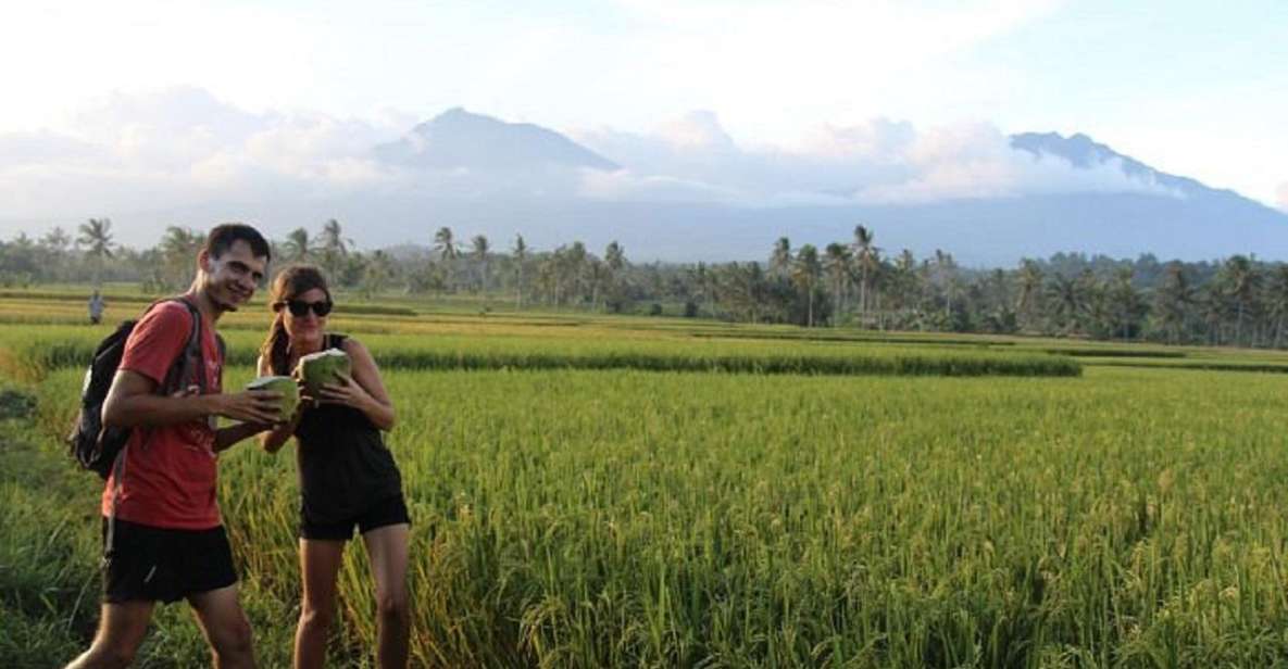 Ijen Private Tour: Stay With Locals In The Village (2D/1N) - Key Points