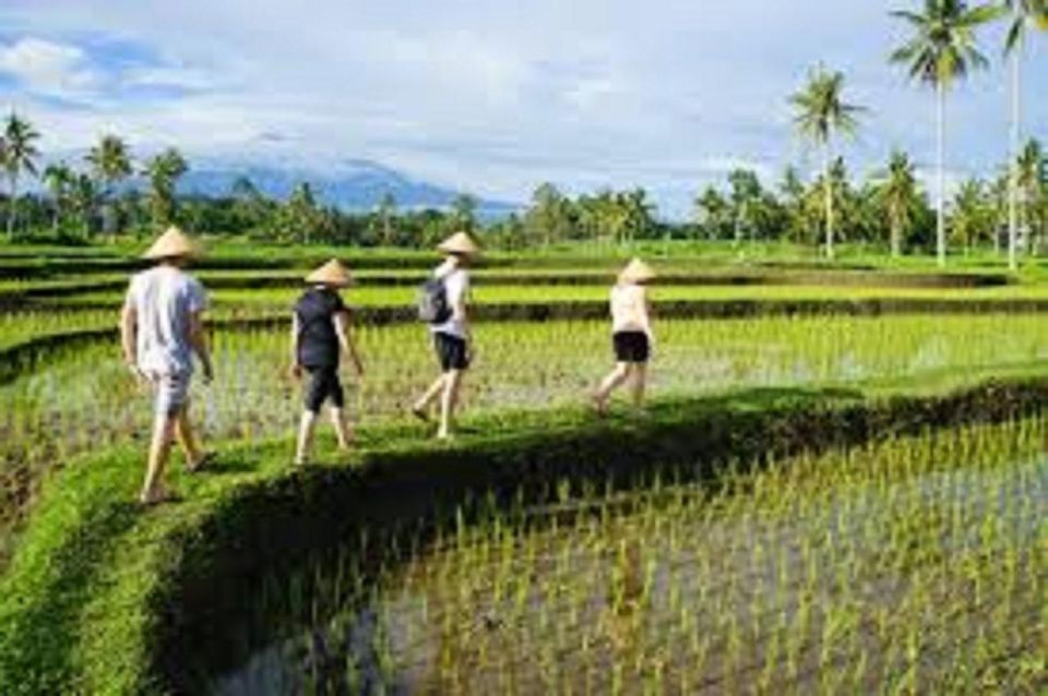 Ijen Private Tour: Stay With Locals In The Village (2D/1N) - Highlights of the Tour