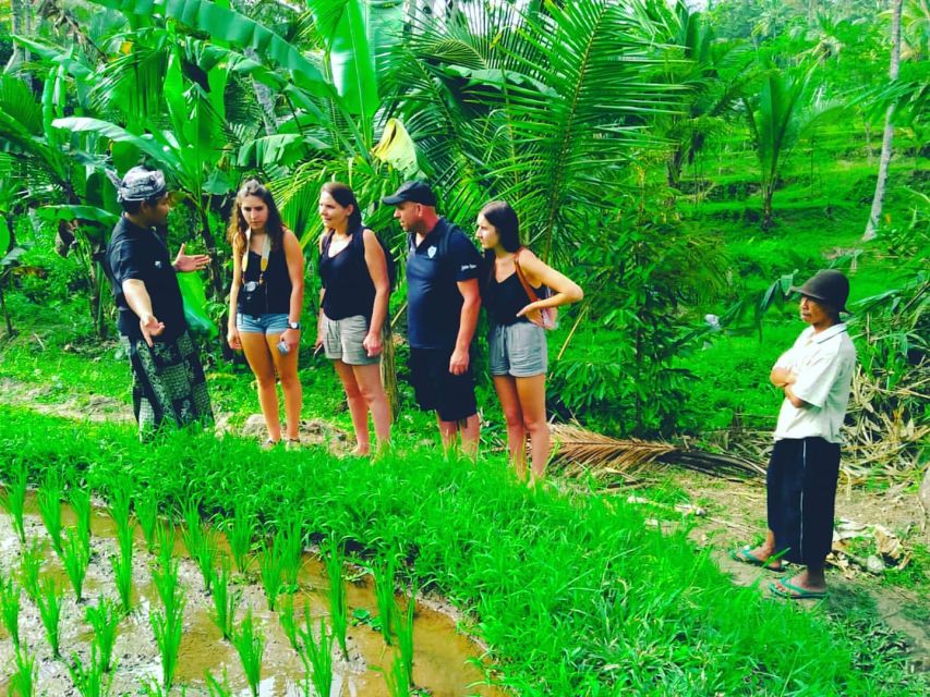 Ijen Private Tour: Stay With Locals In The Village (2D/1N) - Accommodations and Meals