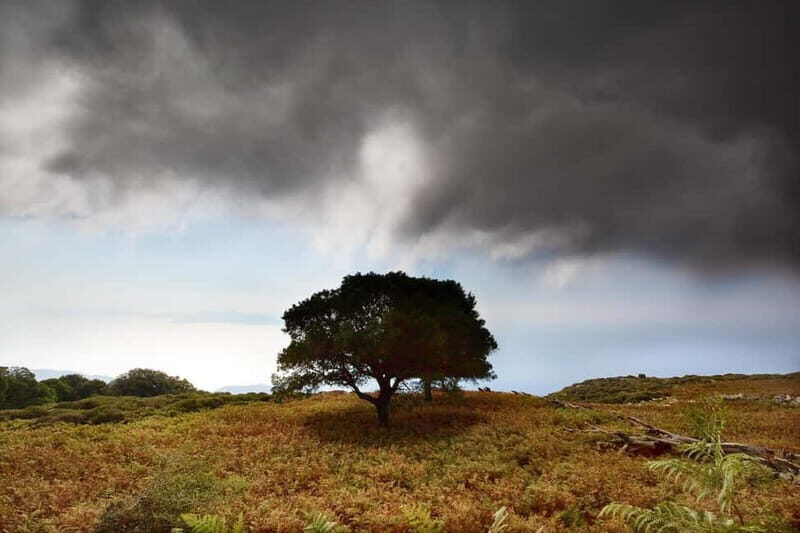 Ikaria, Hike Randi's Forest, Swim at Seychelles & Lunch - Who Will Love This Tour?