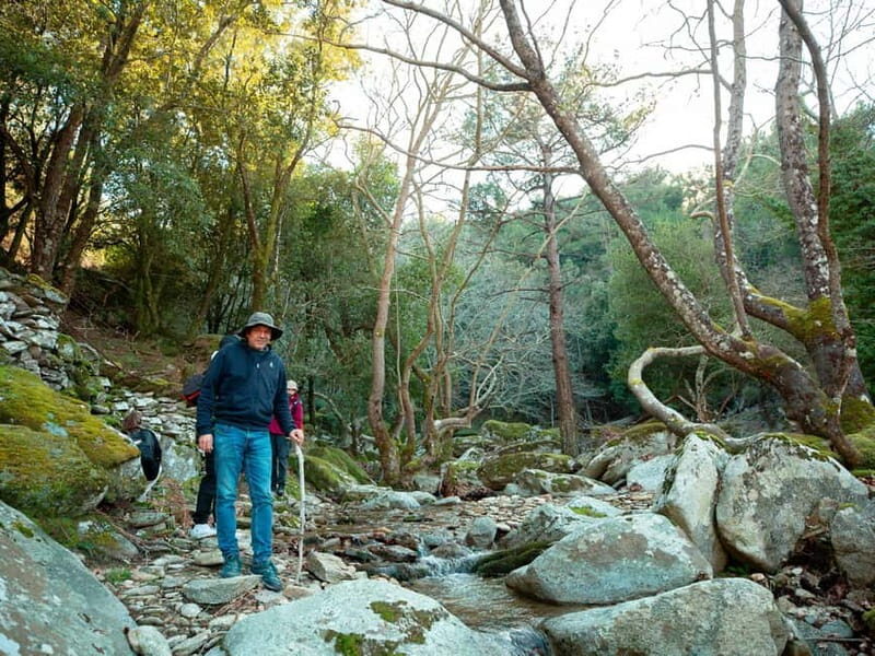 Ikaria, Hike Randi's Forest, Swim at Seychelles & Lunch - Final Thoughts