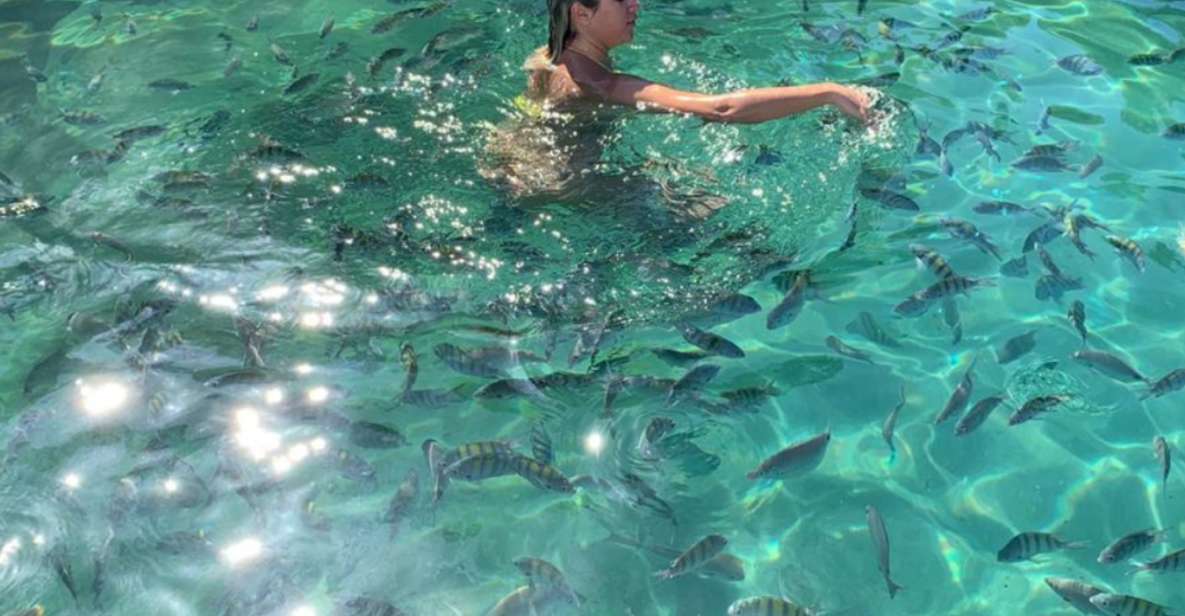 Ilha Grande: Swim With the Little Fish in the Blue and Green Lagoons. - Key Points