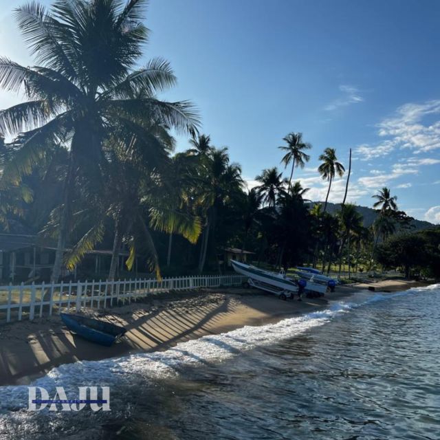 Ilha Grande: Swim With the Little Fish in the Blue and Green Lagoons. - Key Tour Stops