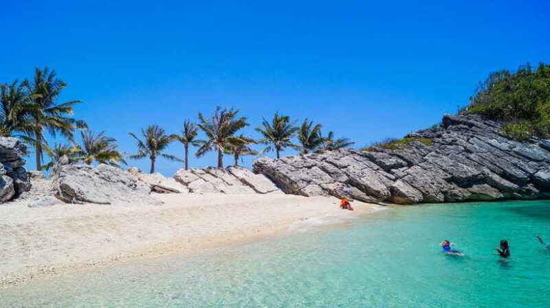 Iloilo City: Gigantes Islands Private Island Hopping Tour - Who Would Love This Tour?
