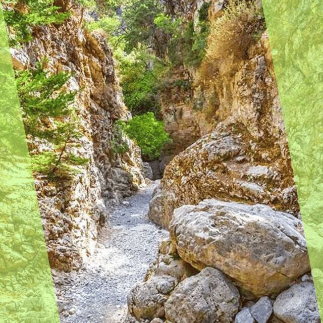 Imbros Gorge : A Hiking Tour with Local Guide - Key Points