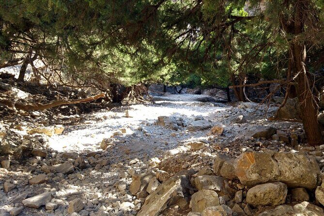 Imbros Gorge Tour From Rethymno - Practical Details: What to Expect