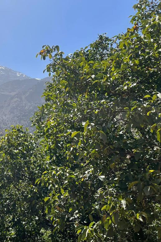 Imlil and High Atlas With Mule Ride - Good To Know