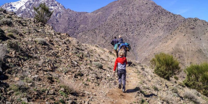Imlil and High Atlas With Mule Ride - Transportation and Logistics