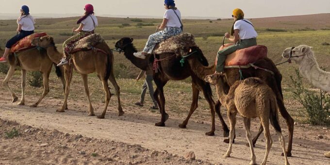 Imlil Valley Day Trip From Marrakech - Personalized Tour Services