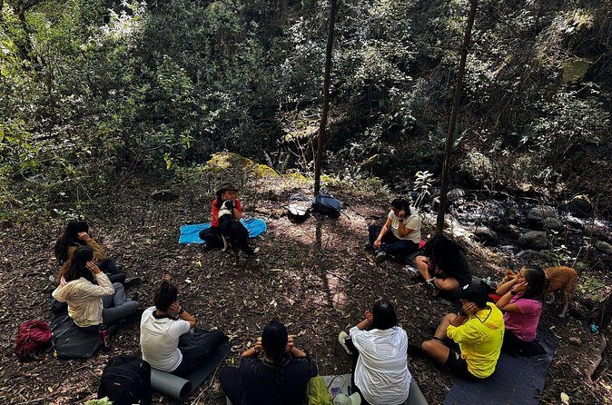 Immerse in the Nature: Deep Connection through Forest Bathing - FAQs