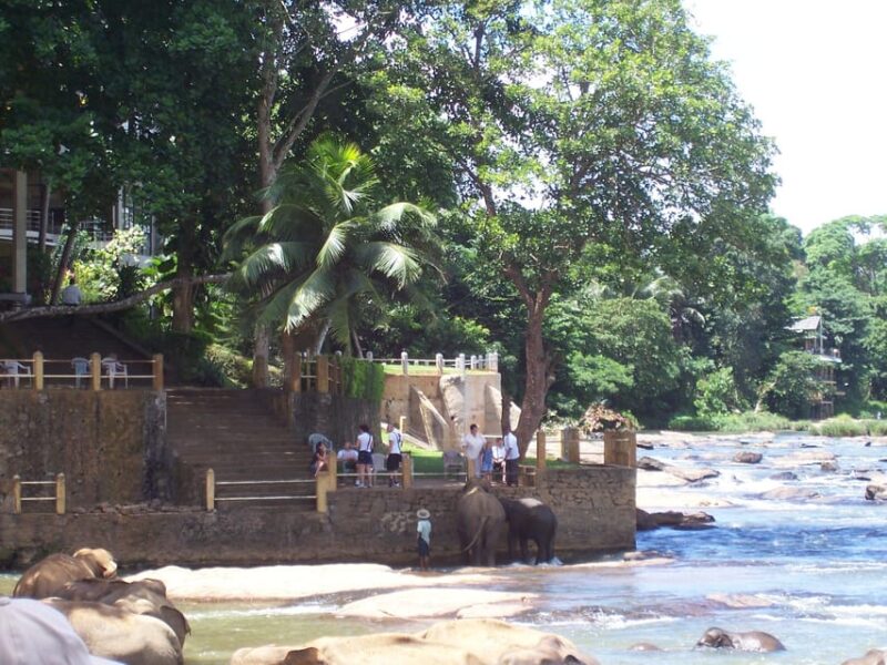 Immerse Yourself in Kandys Vibrant Gardens and Culture - Inclusions and Exclusions