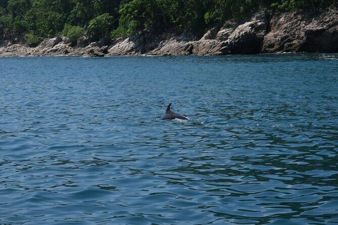 Enjoy paradise: Hidden Beach Snorkeling Adventure - The Value for Travelers