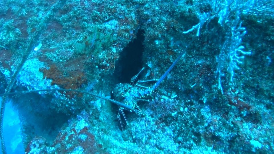 Immerse Yourself in the Depths of El Morro - Booking and Cancellation Policy