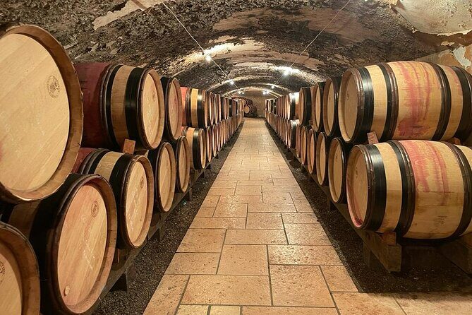 Immersion Domaine E.GUIGAL Visit wine cellars and tasting - What We Love About This Tour