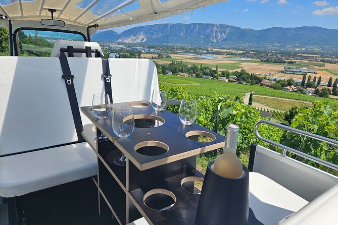 Immersion in the Geneva vineyards by tuktuk with tasting - Key Points
