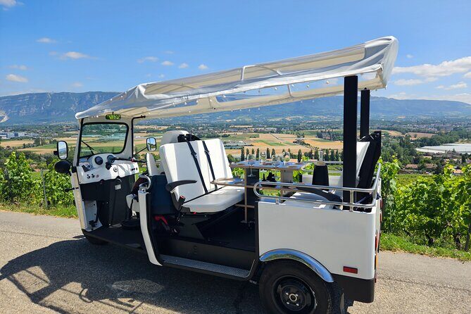 Immersion in the Geneva vineyards by tuktuk with tasting - Exploring Geneva’s Vineyards in an Unusual Way