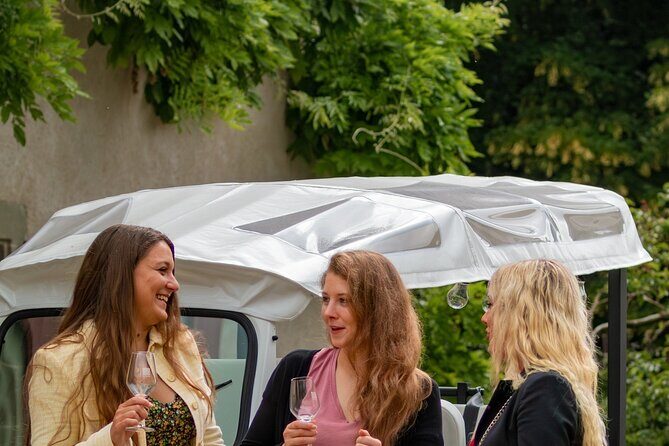 Immersion in the Geneva vineyards by tuktuk with tasting - Who Should Consider This Tour?