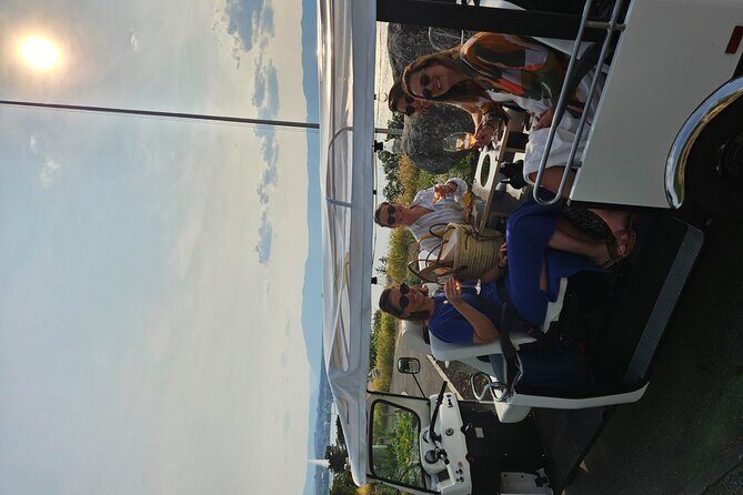 Immersion in the Geneva vineyards by tuktuk with tasting - Final Thoughts: Is This the Right Tour for You?