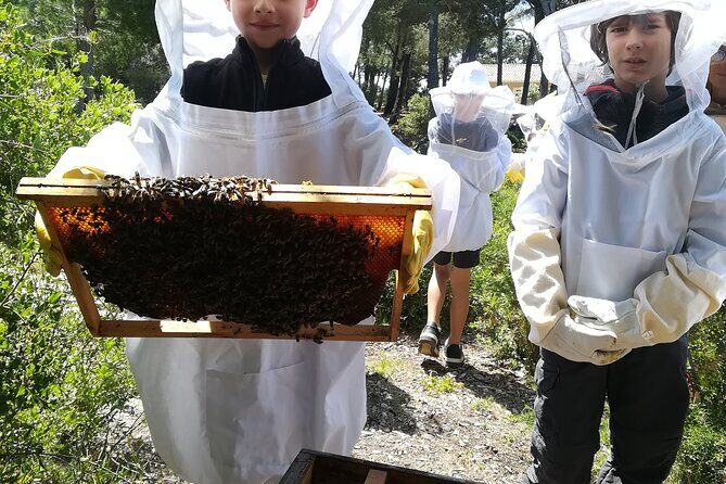 Immersion in the Life of a Hive and its Sacred Bees - Who Will Love This Tour?
