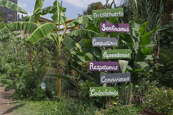 Immersive Cultural Tlatelolco Tour - Who Will Love This Tour?