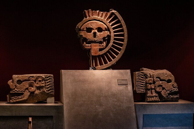 Immersive Experience at the Anthropology Museum - Practical Tips for Participants