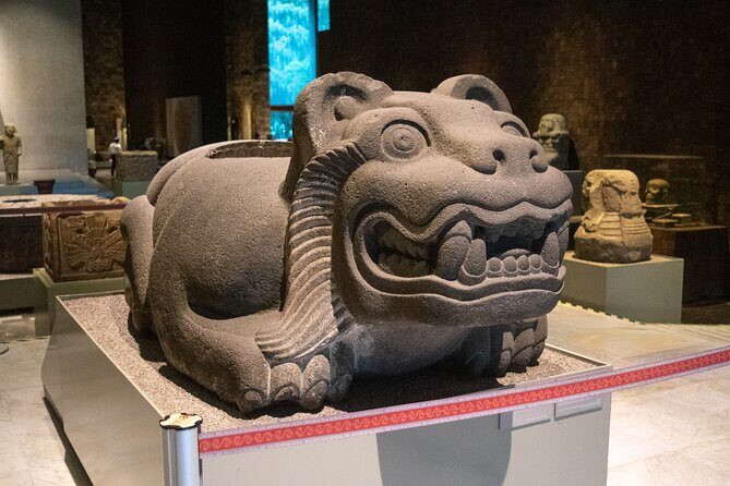 Immersive Experience at the Anthropology Museum - Who Would Love This Tour?