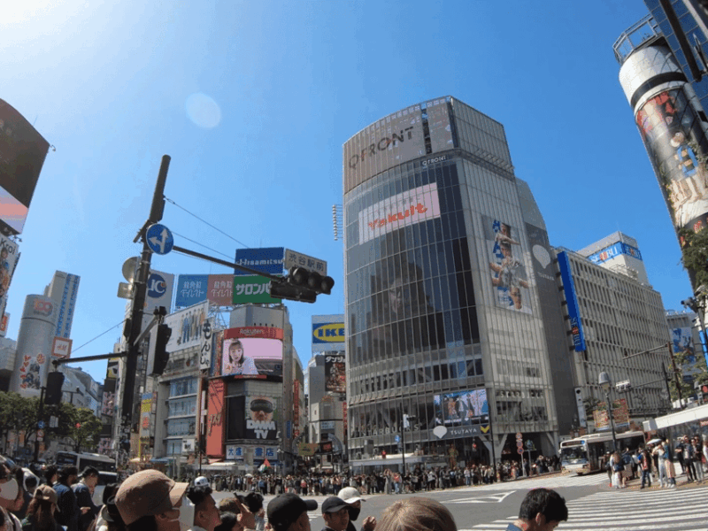 Immersive Japanese Cultural Experiences/Calligraphy&Ukiyo-E - Itinerary Highlights