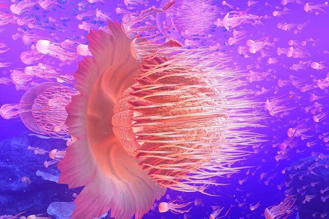 Immersive Virtual Reality Arcade Experience for 1 Hour (Includes Training) - FAQ