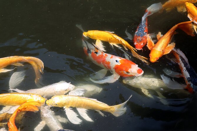 Imperial Palace East Garden and Heritage of Edo Castle Tour - Additional Insights