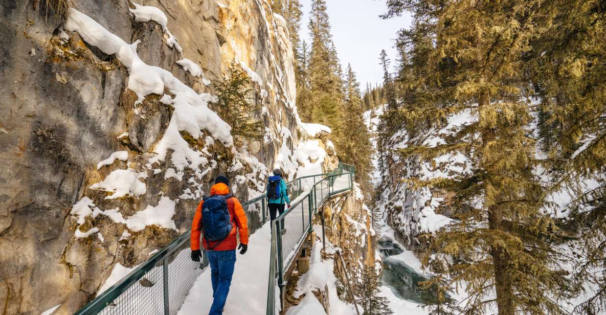 In-Depth Banff Area & Canyon Day Tour From Calgary or Banff - Sulphur Mountain Gondola Experience