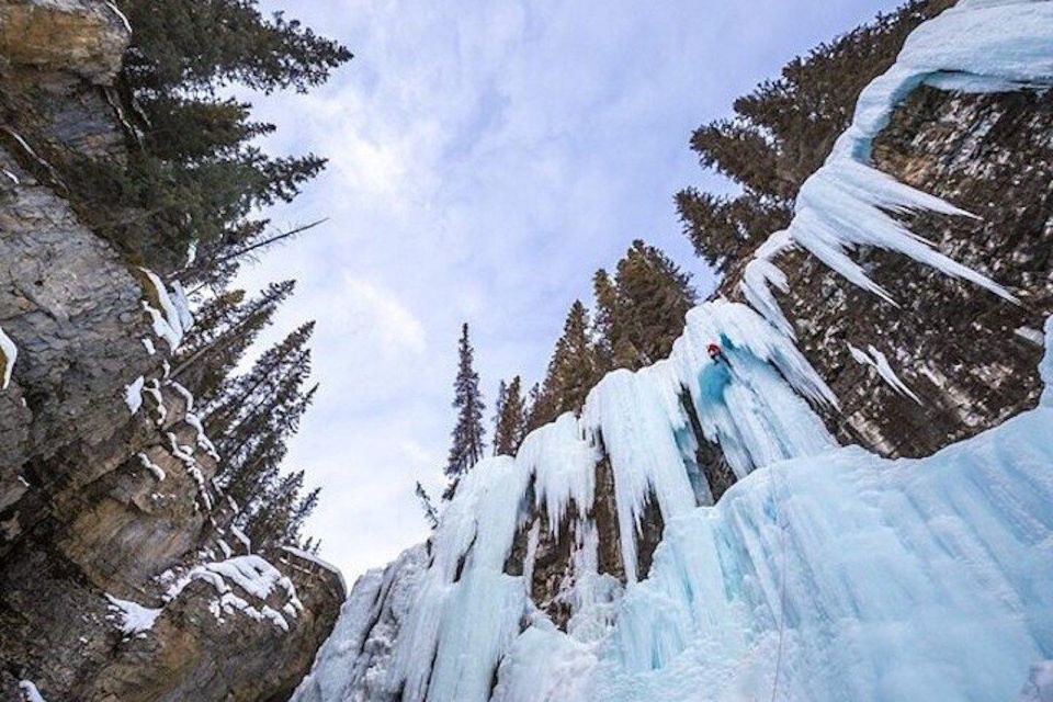 In-Depth Banff Area & Canyon Day Tour From Calgary or Banff - Exploring Banff Town