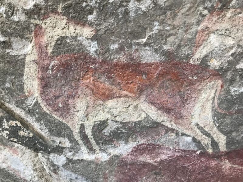 In the Footsteps of the Bushmen Guided Day Hike to Rock Art - Cancellation and Refund Policy