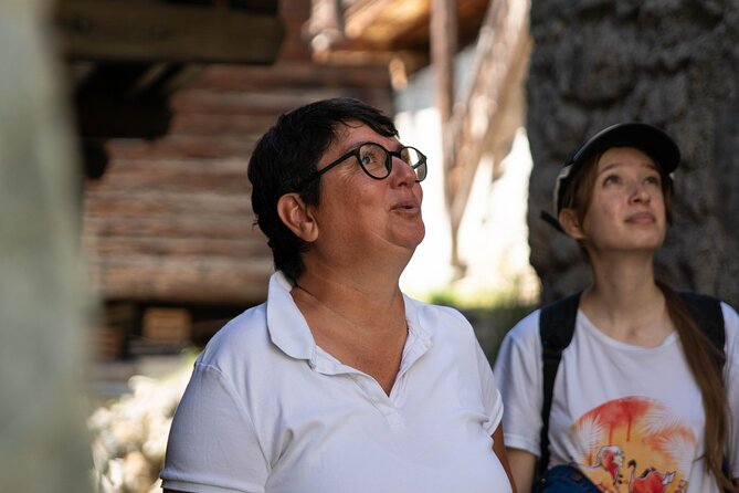 In the Heart of the Valais: Authentic Swiss Experience (Wine & Terroir) - Key Points