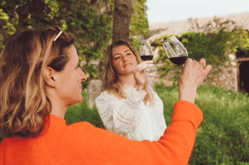 In the Skin of a Winemaker - Key Points