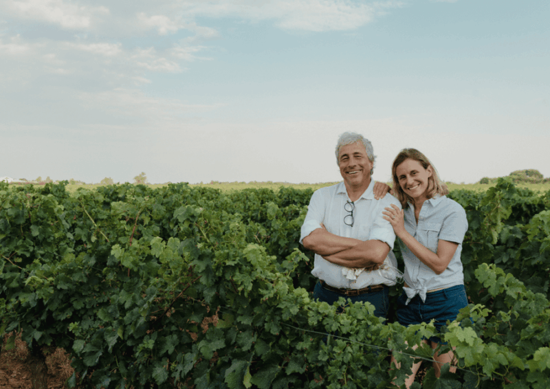 In the Skin of a Winemaker - Exploring the Vineyards Biodiversity