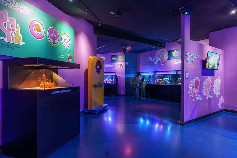 Inbursa Aquarium Entry Ticket with VR Option - Final Words