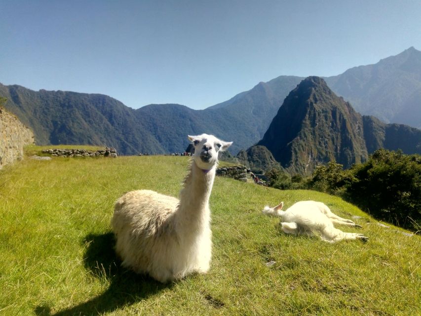 Inca Jungle to Machu Picchu - Frequently Asked Questions
