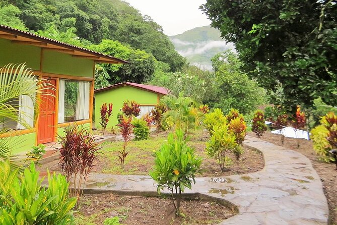 Inca Jungle Trek to Machu Picchu 4 Days - Day 2: Santa Maria to Santa Teresa
