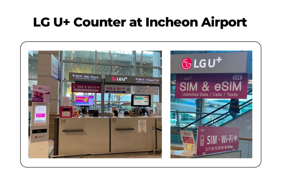 Incheon Airport: Traveler SIM & T-money Transportation Card - Included Services