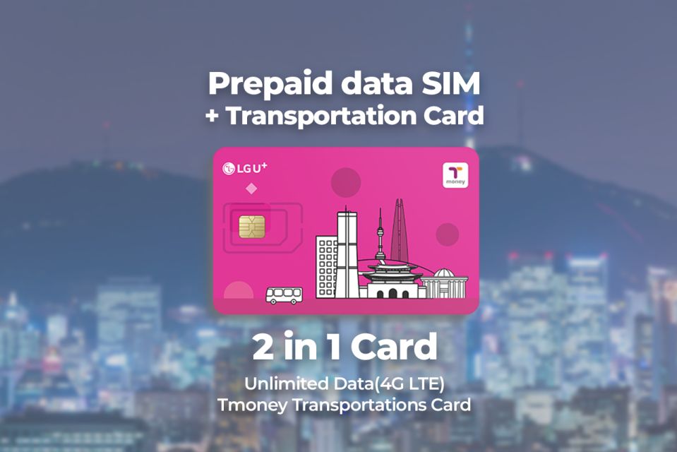 Incheon Airport: Traveler SIM & T-money Transportation Card - Booking Information