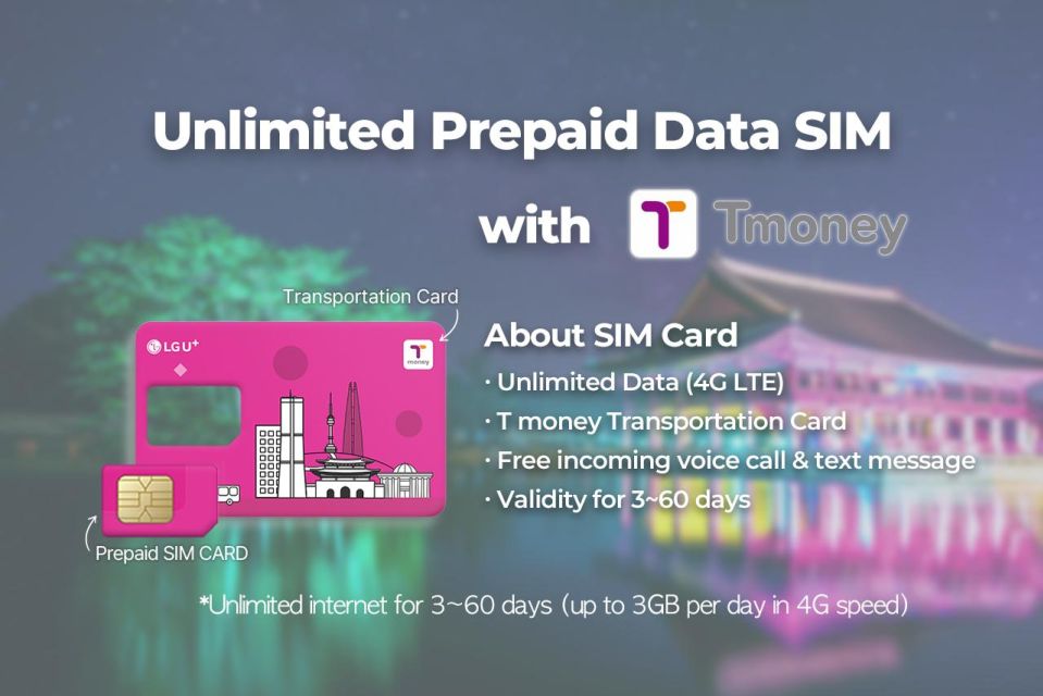 Incheon Airport: Traveler SIM & T-money Transportation Card - Transportation Card Usage