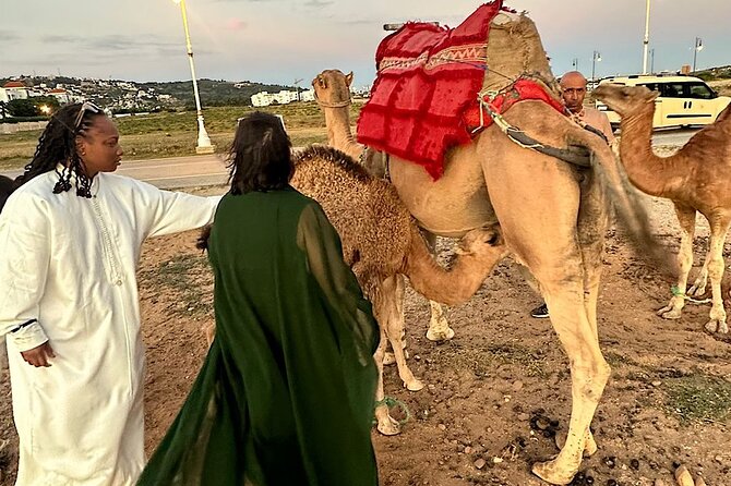 Inclusive Beach Camel Ride, Cap Spartel, Hercules & Full Dinner - Meeting and Pickup Points