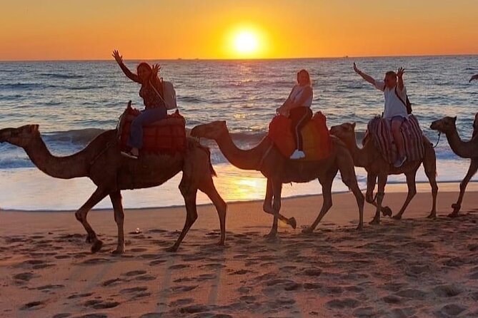 Inclusive Beach Camel Ride, Cap Spartel, Hercules & Full Dinner - Cancellation Policy and Local Tips